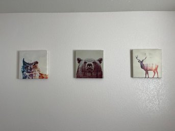 Animals And Their Homes Canvas Prints
