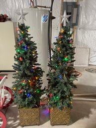 Two Slim Exterior Christmas Trees