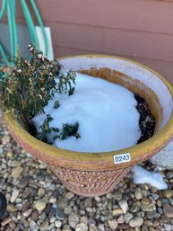 Five Matching Pots