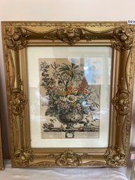 Beautiful Prints In Matching Frames