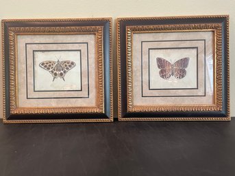 Pair Of Matted & Framed Butterfly Prints AR16