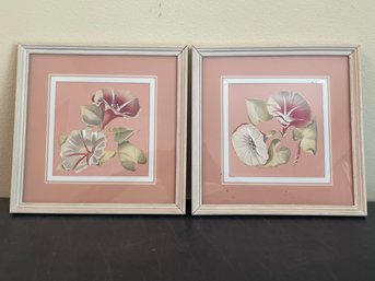 Pair Of Vintage 'morning Glory' Prints In Original Frames AR39