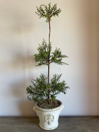 Glazed Ceramic Pot With Rosemary Topiary