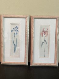 Pair Of Botanical Prints AR36