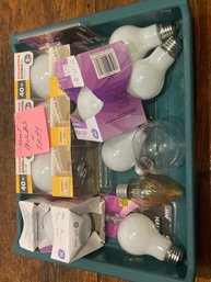 Light Bulbs And Tray G9