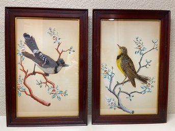 Pair Of Antique Feather Bird Paintings