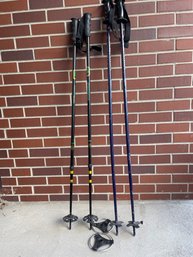 2 Sets Ski/hiking Poles