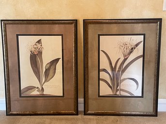 Lot Of 2 Bombay Company Floral Paintings B1