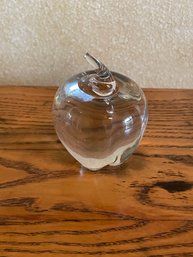 Hand Blown Clear Glass Crystal Paperweight B41