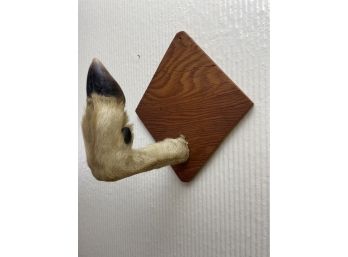 Vintage Deer Hoof Wall Hook