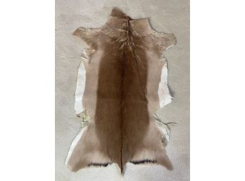 Vintage Africa Tanned Small Animal Hide