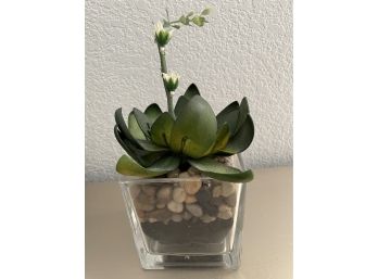 Artificial Succulent In Glass Container