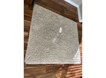 Shag Area Rug