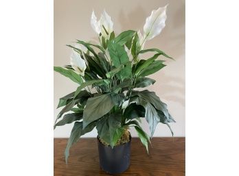 Artificial Calla  Lilly Plant