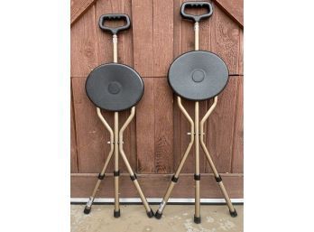 Pair Of Walking Stick/cane Folding Seats