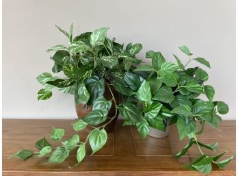 Lot Of 2 Silk Plants