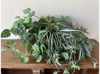 Lot Of Silk Plants