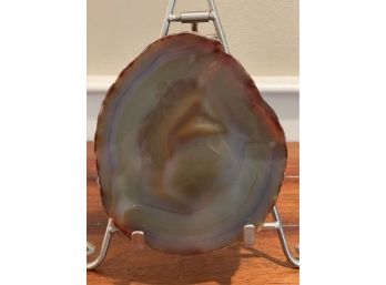 Petrified Wood Slab 3