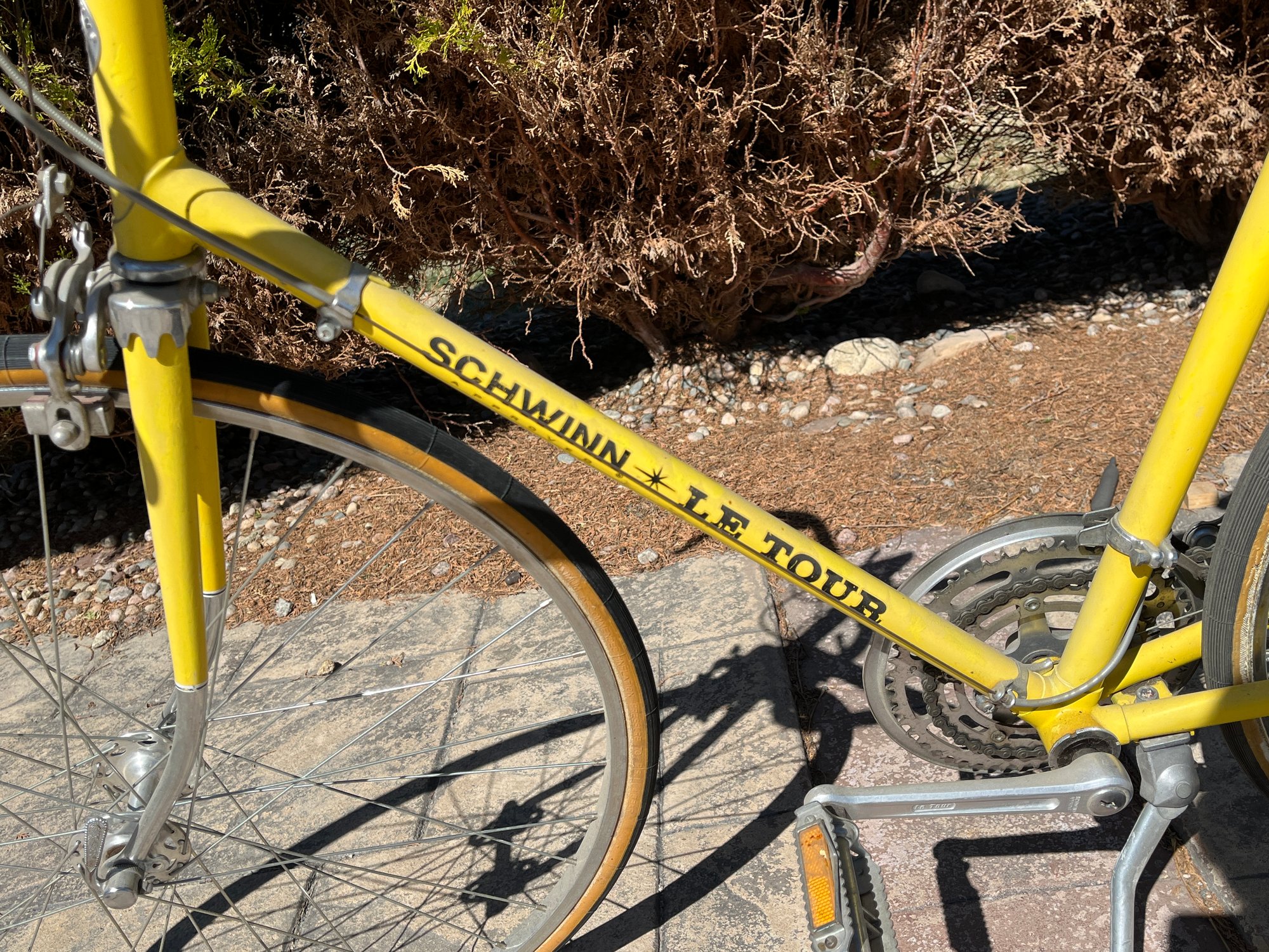 schwinn le tour yellow