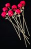 Hand Painted Group Of 8 Decorative Roses By Teresa Castaneda