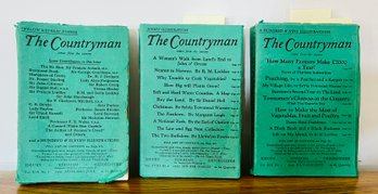 Trio Of The Countryman Storybooks
