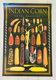 Indian Corn Of The Americas Poster
