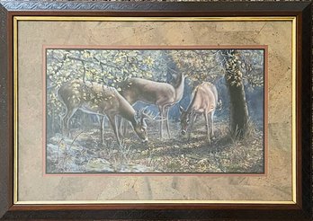 Framed Carolyn Mock Print Deer Grazing