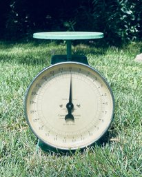 Antique Green Food Scale