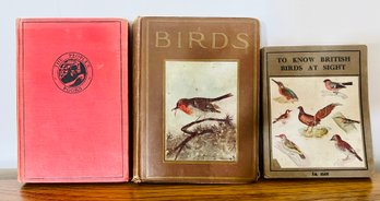 Collection Of Birdwatching Guide Books