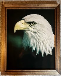Beautiful Eagle Print In Wood Frame