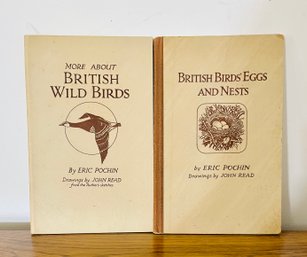 Duo Of British Birds Informative Illustrated Guides