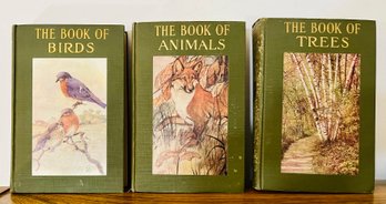 Set Of The Book Of Nature Novels