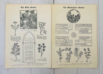 2 Botanical Prints 'The Shakespeare Garden' And 'the Bible Garden'
