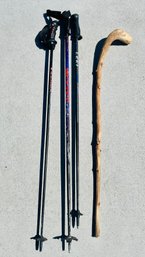 Variety Of Single Brand Ski Poles And Walking Stick