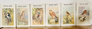 Variety Of British Birds Books With Colored Illustrations