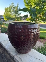 Ceramic Red Glazed Pot 2 Of 2