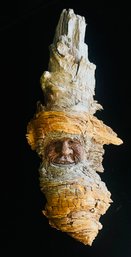 Wood Carved Gnome