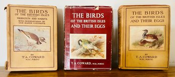 Vintage Trio Of The Birds Of The British Isles Scientific Guides