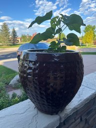 Ceramic Red Glazed Pot 1 Of 2