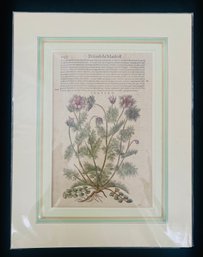 Antique 1583 Botanical Flower Woodcut On Paper