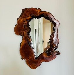 Preserved Tree Trunk Cross Cut Accent Mirror