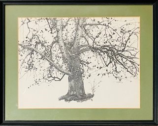 Framed Tree Print Unknown Artist