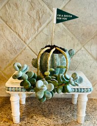 Real Succulent Plant With Table Stand