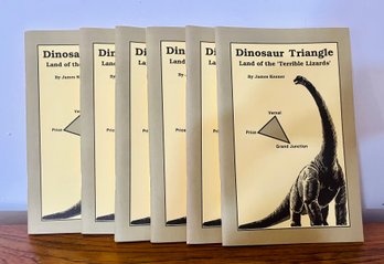 Set Of Dinosaur Triangle Instructional Workbooks