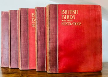 Large Volume Collection Of British Birds Research Novels