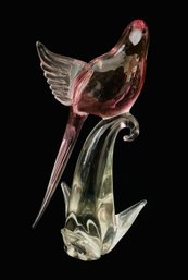 Murano Di Formia Glass Bird Formia Exotic Birds Of The World Made In Italy