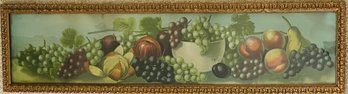 Framed Antique Fruit Fruit Print