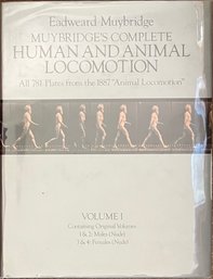 Muybridges Human And Animal Locomotion Guide
