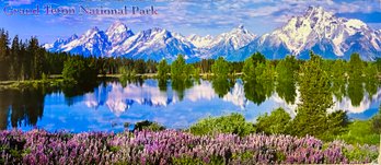 Beautiful Poster Of Grand Teton National Park