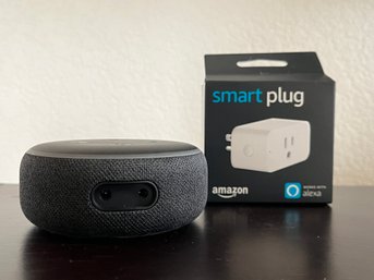 Amazon Alexa And Smart Plug